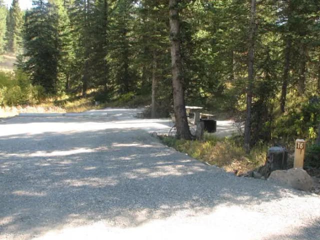 Site 16, campsite surrounded by pine trees, picnic table & fire ring