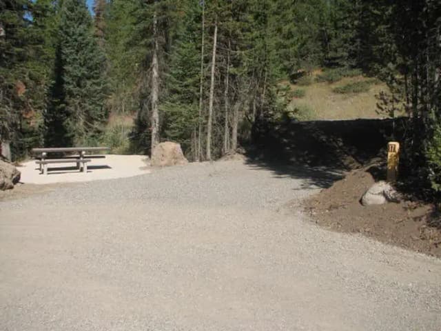 Site 17, campsite surrounded by pine trees, picnic table & fire ring