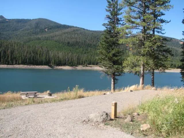 Site 19, campsite surrounded by pine trees, picnic table & fire ring