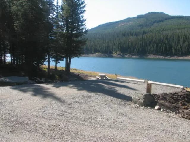 Site 20, campsite surrounded by pine trees, picnic table & fire ring