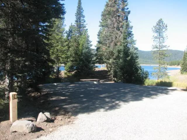 Site 24, campsite surrounded by pine trees, picnic table & fire ring