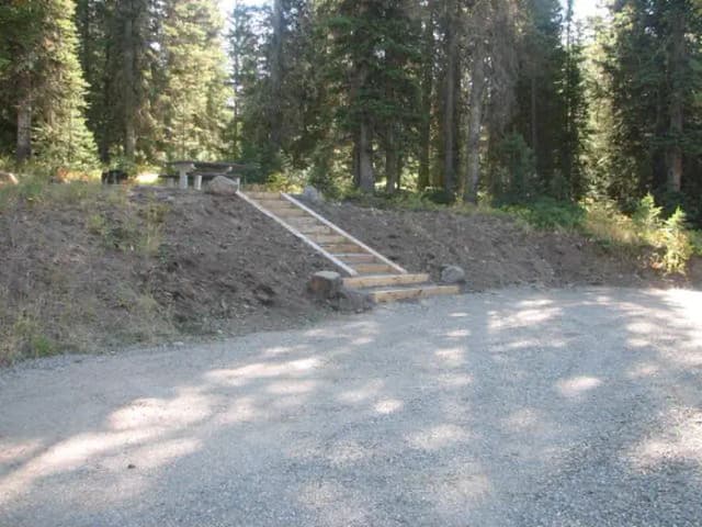 Site 25, campsite surrounded by pine trees, picnic table & fire ring