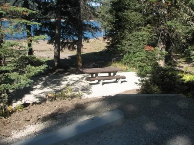 Site 26, campsite surrounded by pine trees, picnic table & fire ring