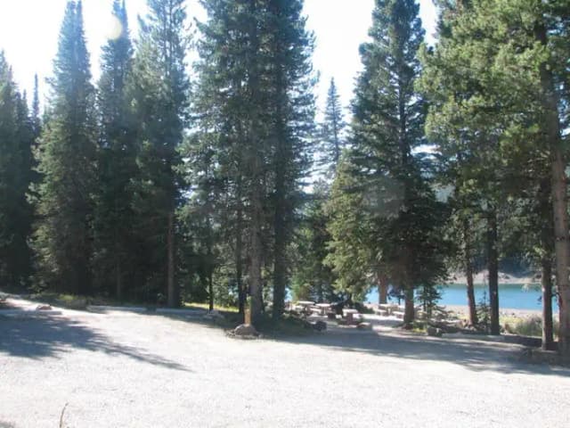 Group Site 28, campsites surrounded by pine trees, picnic table & fire ring