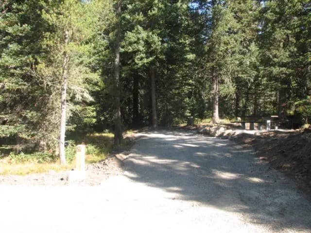 Site 29, campsite surrounded by pine trees, picnic table & fire ring