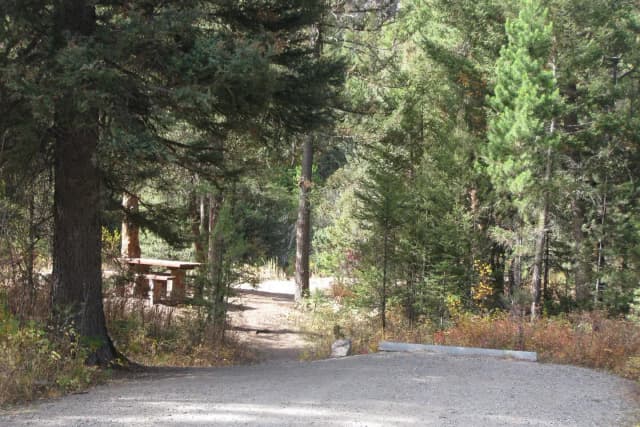 Site 1, campsite surrounded by pine trees, picnic table & fire ring