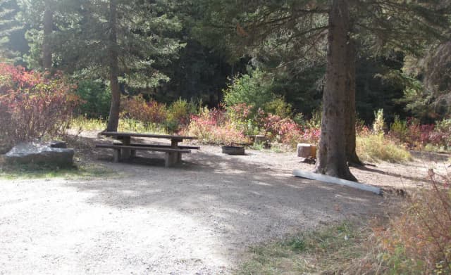 Site 2, campsite surrounded by pine trees, picnic table & fire ring