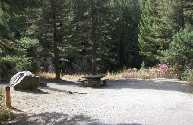 Site 3, campsite surrounded by pine trees, picnic table & fire ring
