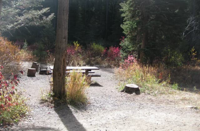 Site 4, campsite surrounded by pine trees, picnic table & fire ring