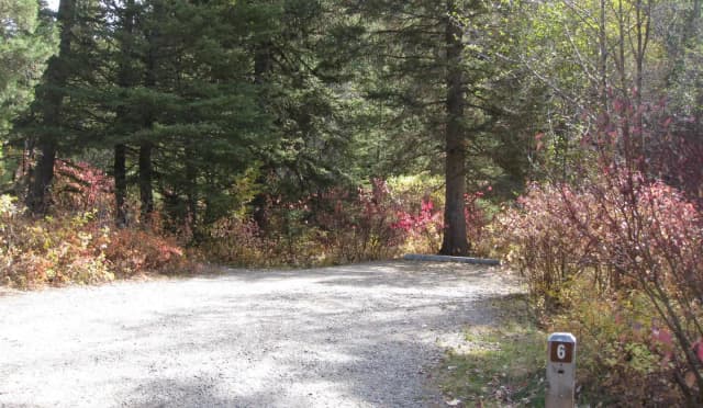 Site 6, campsite surrounded by pine trees, picnic table & fire ring