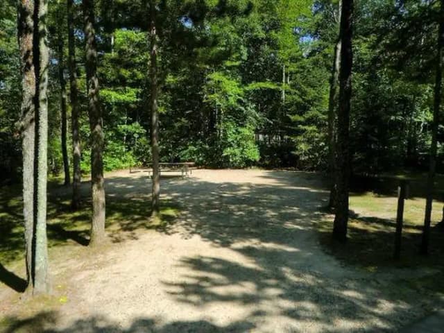 Campsite #1