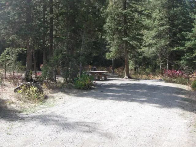Site 7, campsite surrounded by pine trees, picnic table & fire ring