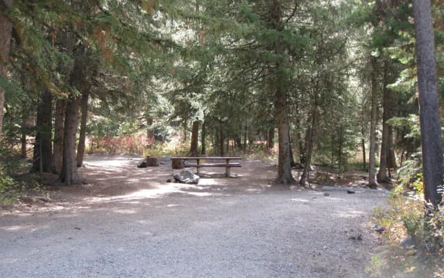 Site 8, campsite surrounded by pine trees, picnic table & fire ring