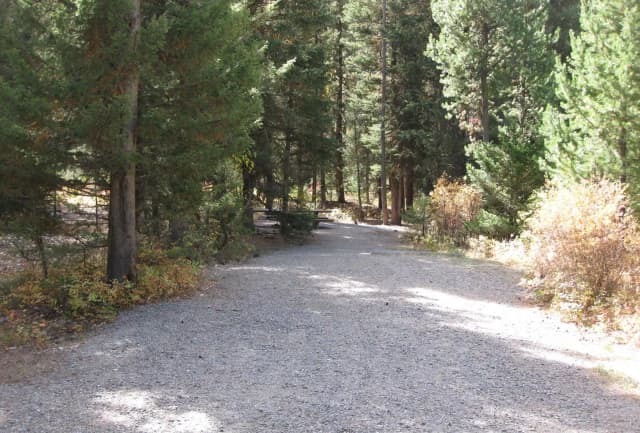 Site 9, campsite surrounded by pine trees, picnic table & fire ring
