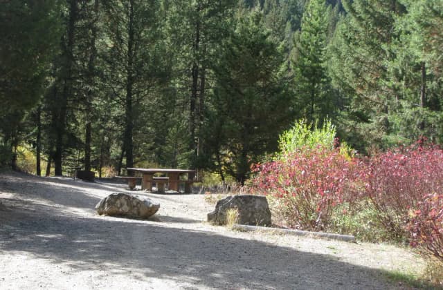 Site 12, campsite surrounded by pine trees, picnic table & fire ring