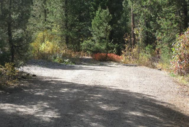 Site 13, campsite surrounded by pine trees, picnic table & fire ring