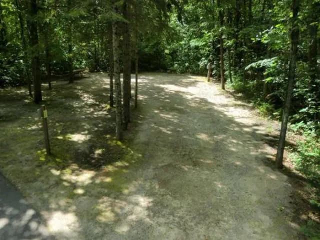 Campsite #73