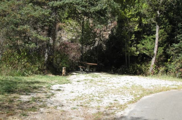 Site 2, campsite surrounded by pine trees, picnic table & fire ring