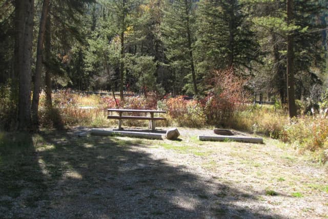 Site 3, campsite surrounded by pine trees, picnic table & fire ring