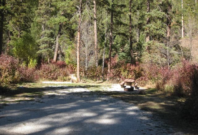 Site 5, campsite surrounded by pine trees, picnic table & fire ring