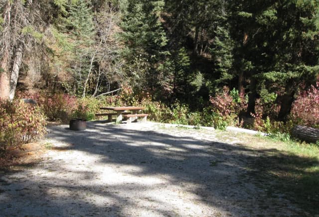Site 7, campsite surrounded by pine trees, picnic table & fire ring