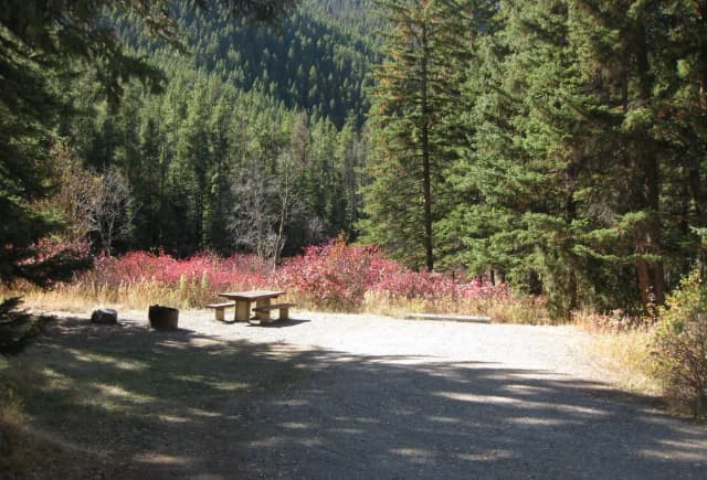 Site 12, campsite surrounded by pine trees, picnic table & fire ring