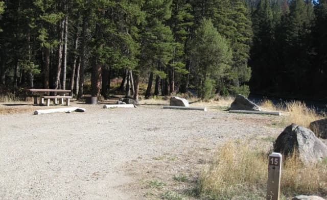 Site 15, campsite surrounded by pine trees, picnic table & fire ring