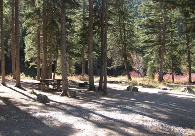 Site 14, campsite surrounded by pine trees, picnic table & fire ring