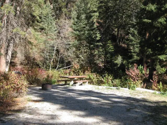 Site 9, campsite surrounded by pine trees, picnic table & fire ring