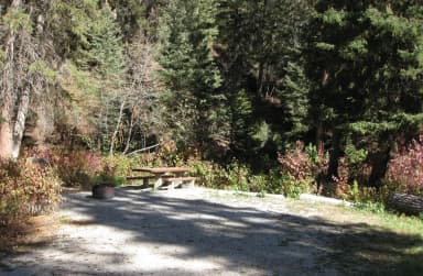 Loop HILL · Site 009 at Greek Creek Campground