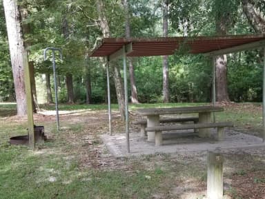 Loop SCRE · Site 05 at Sandy Creek