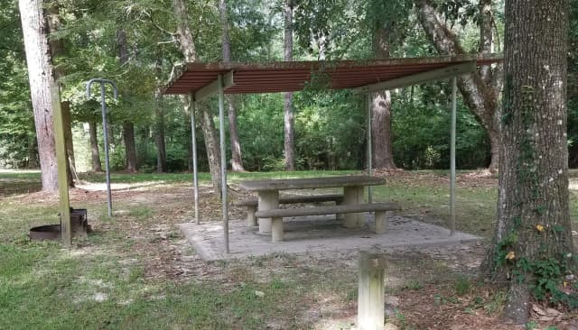 Loop SCRE · Site 05 at Sandy Creek