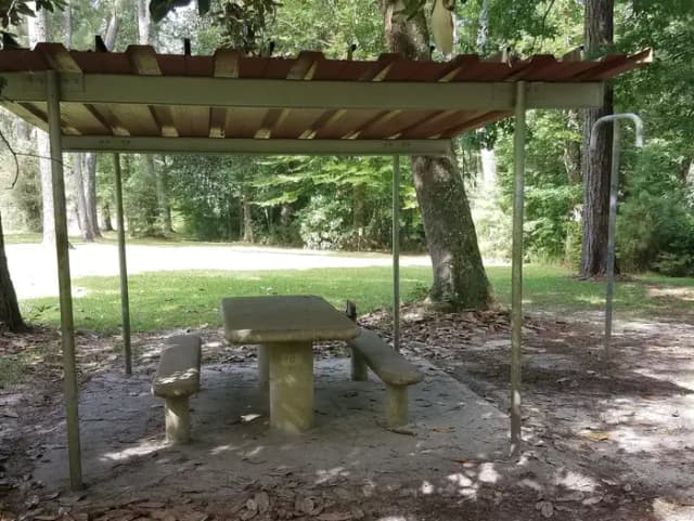 Loop SCRE · Site 06 at Sandy Creek