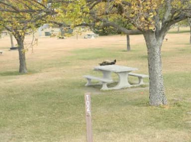 Tent Area · Site T02 at Left Tailrace