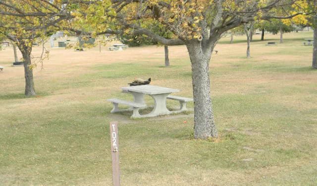 Tent Area · Site T02 at Left Tailrace