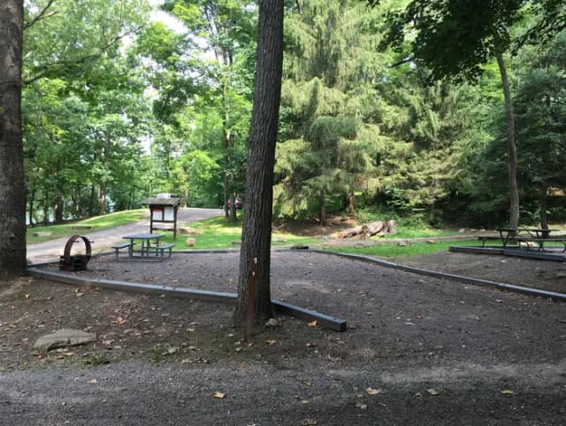 Site 1