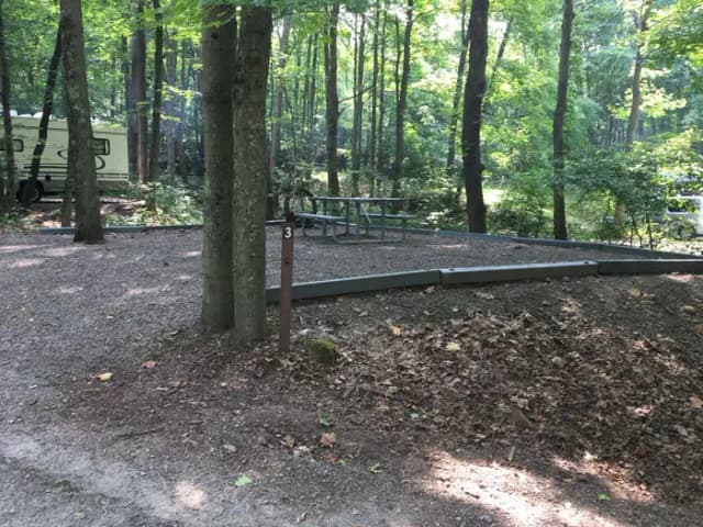 Site 3