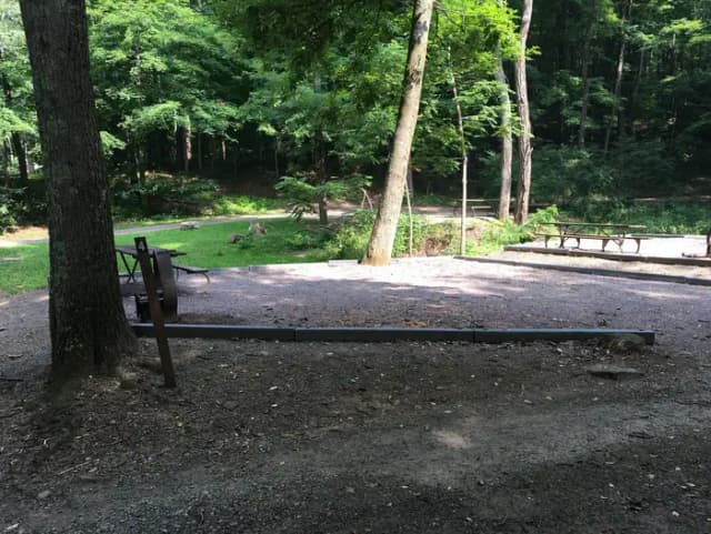 Site 4
