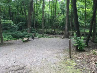 Site 005 at Mill Run Recreation Area