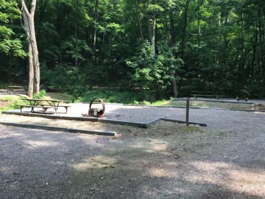 Site 006 at Mill Run Recreation Area