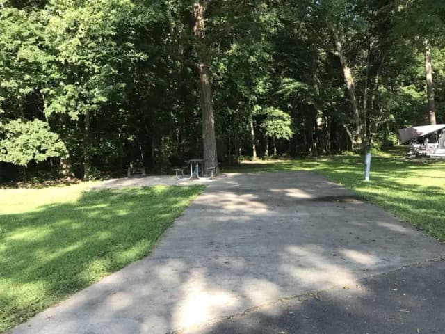 Thomson Causeway Campground site 37