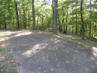 A12
