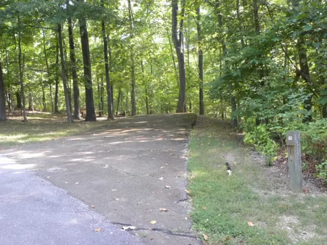 A13