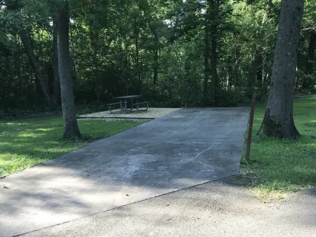 Thomson Causeway Campsite 102