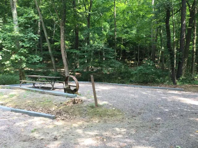 Site 7