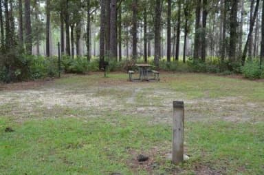 Wright Lake Campground Site 2 Site Furnishings