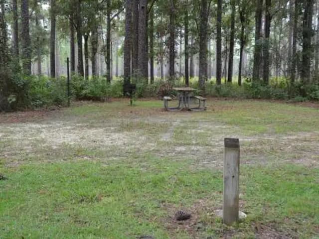 Wright Lake Campground Site 2 Site Furnishings