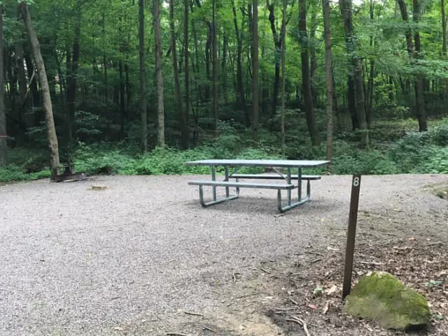 Site 8