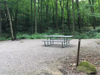 Site 008 at Mill Run Recreation Area