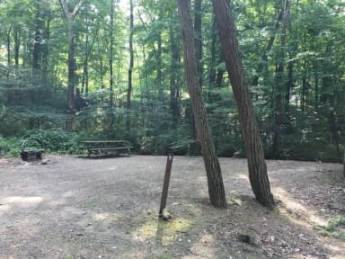 Site 009 at Mill Run Recreation Area